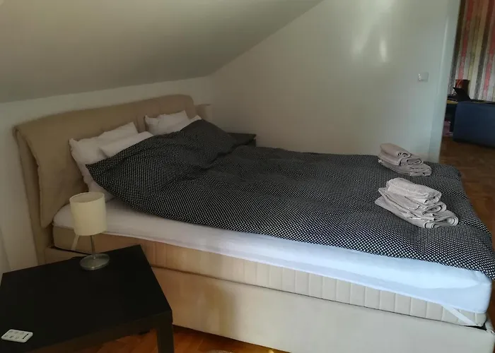 J&k * 兹拉蒂博尔