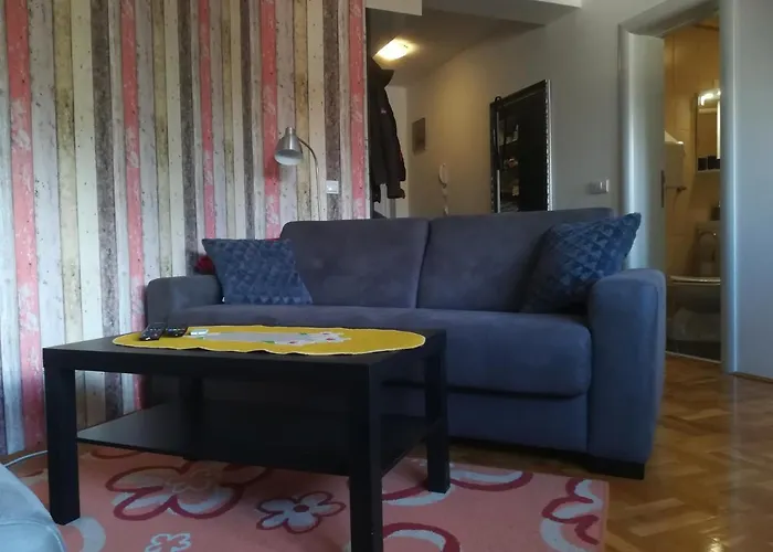 J&k * 兹拉蒂博尔